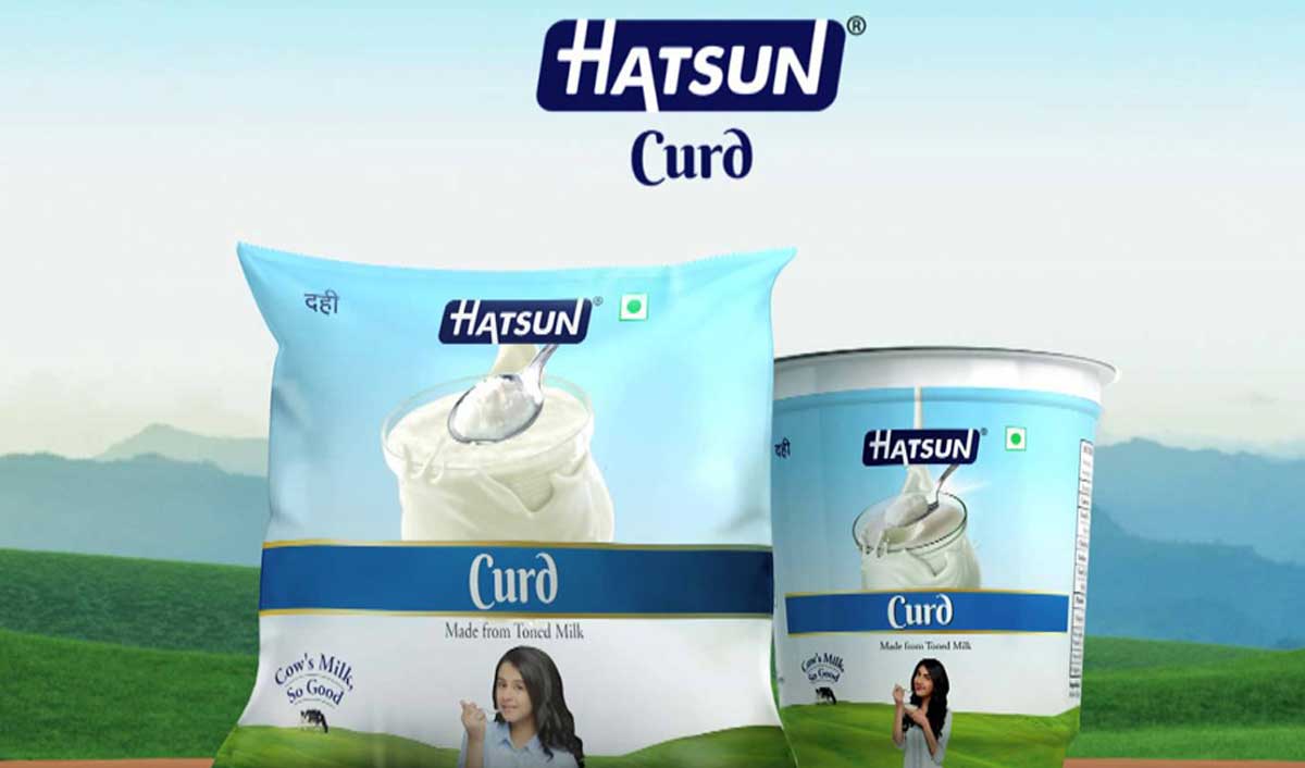 Hastun Help Center Help Center home page